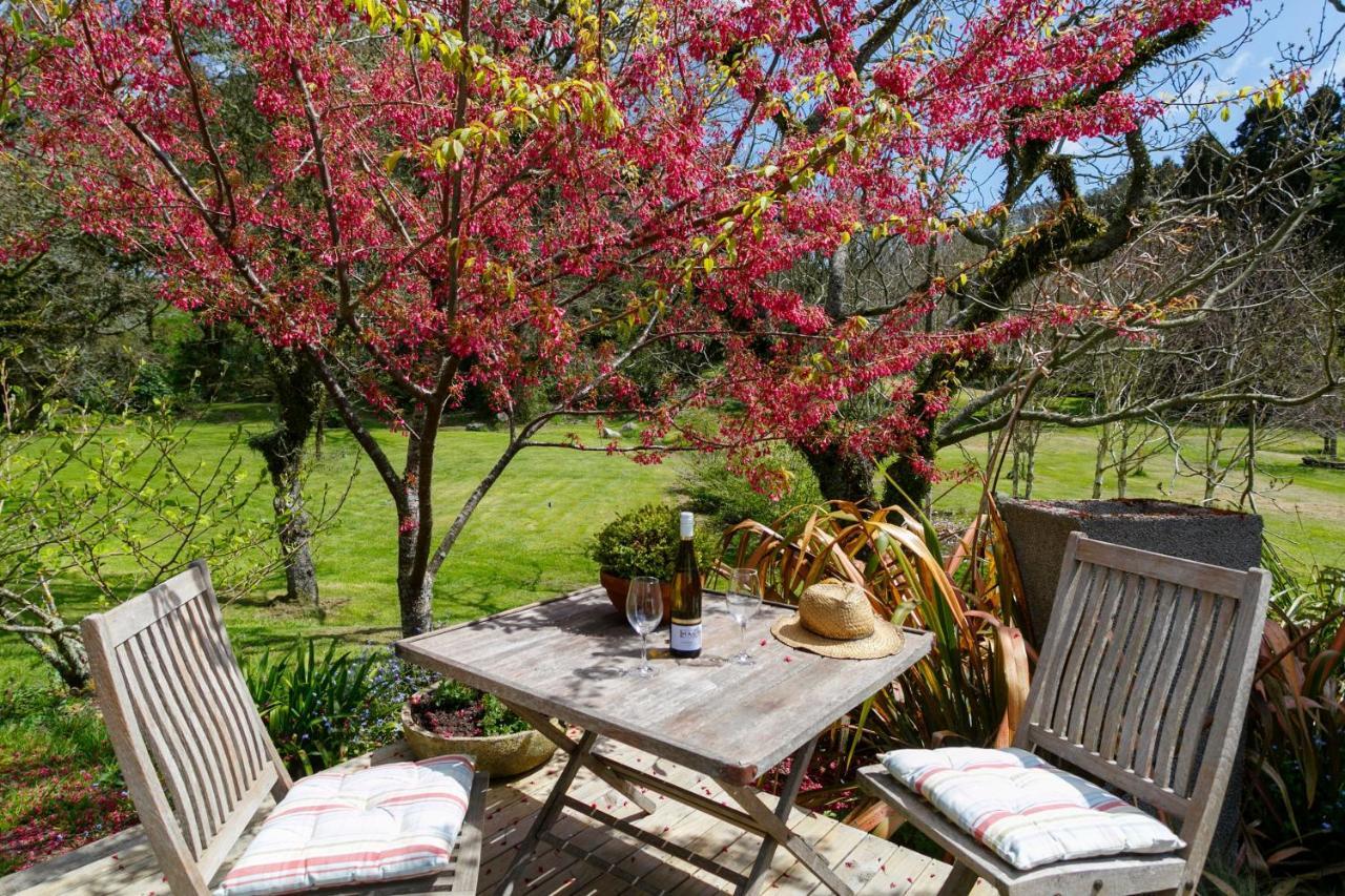 Villa Hare'S Rest Lago Lago Taupo Exterior foto